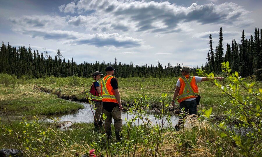 research team in a wetland bog