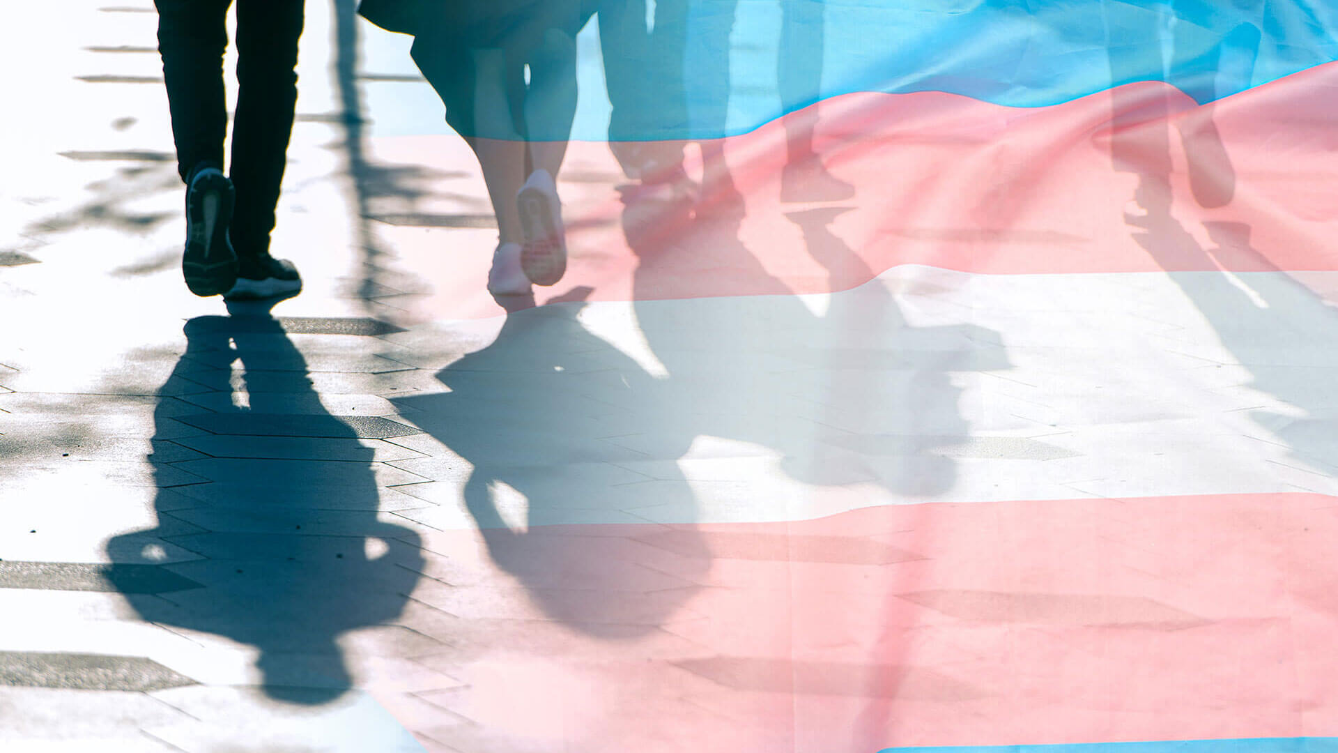 Transgender flag, shadows and silhouettes of people on a road