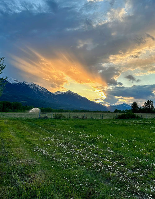 View of farmland at sunset with mountains in the background