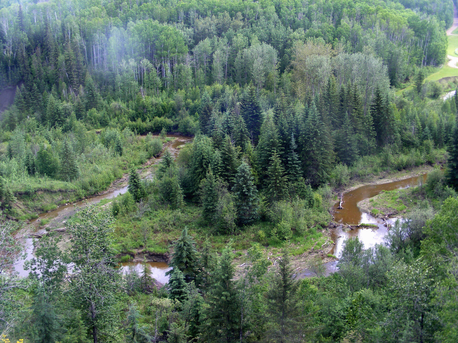 A view of the Muskeg Creek Valley with the trail system visible to the right