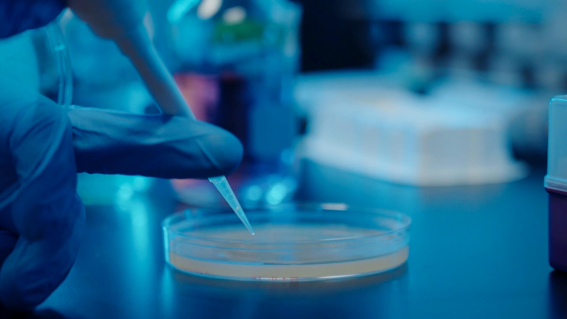 pipetting chemicals in a petri dish