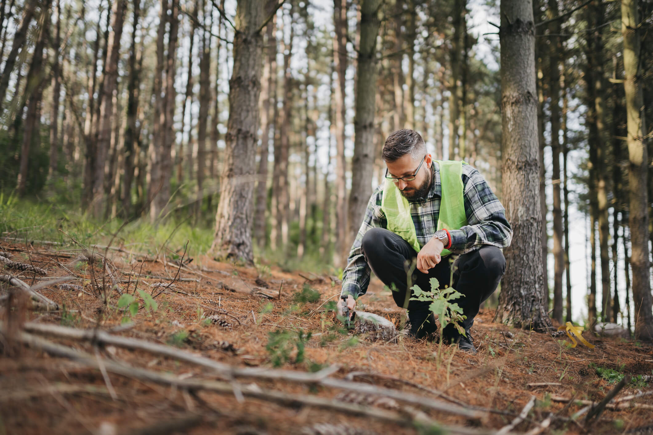 Ecologist doing fieldwork